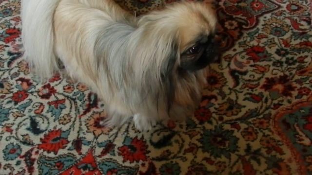 Nikon P500 046 смотреть онлайн