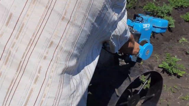 Мотоблок Нева 2 и окучник для картошки смотреть онлайн