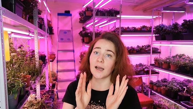 Как сохранить выращенную #микрозелень #семенаильинские #ильинскиепроростки #ситиферма #бизнесснуля