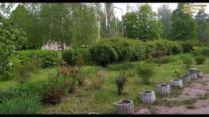 Никополь часть 2