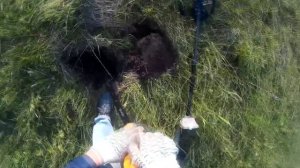 Первый выход с металлоискателем Minelab Safari.