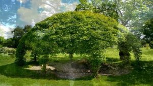 Польща: Історія, люди, традиції