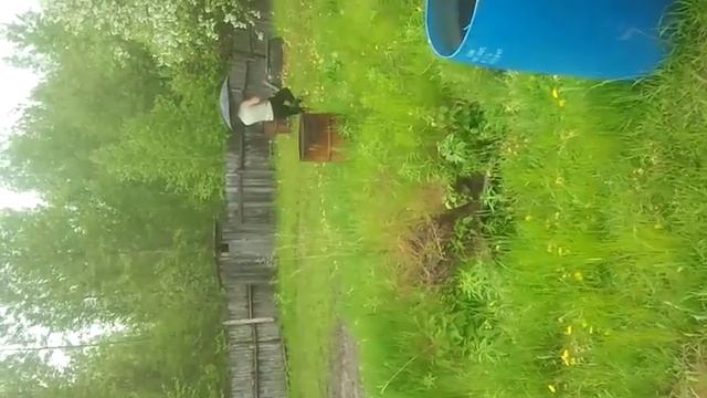 ахахаха прикол тип с зонтиком до туалета