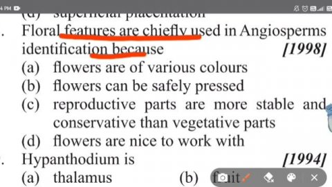 Morphology of flowering plants previous year questions for neet/Neet previous year mcq for neet 202