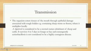 Actinobacillosis/Wooden Tongue Disease Simplified