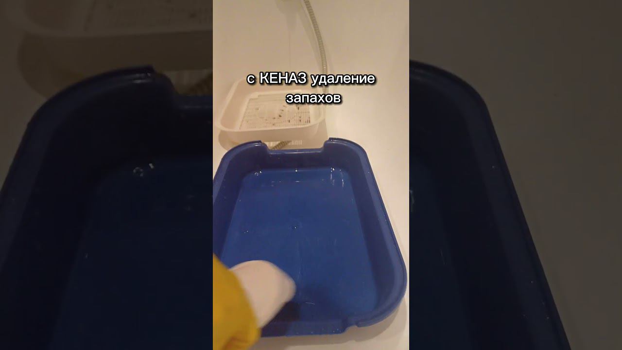 Как помыть кошачий лоток