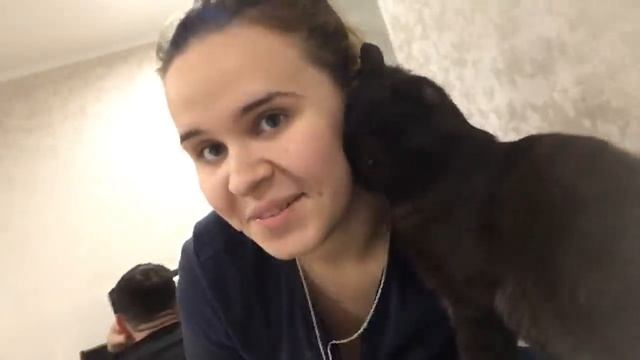 Новый потолок/ужин для мужа /Виталик и Ангелина/котлетки смотреть онлайн