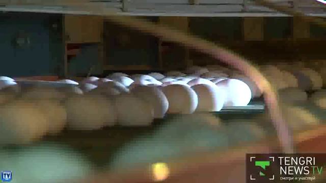 Как это сделано: Яйца смотреть онлайн