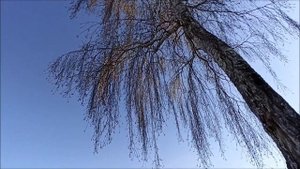 Клип на песню (Бестолковая любовь)