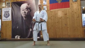 ШАОЛИНЬ - ЦУАНЬ !!! Николай Коровин Таолу из Шаолиня Тхун Би
