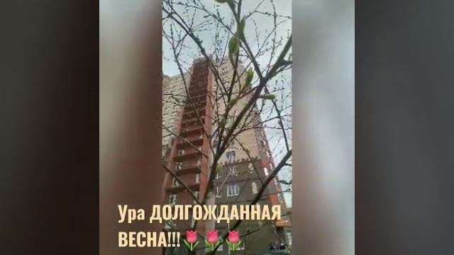 Ура!!! Долгожданная весна!!!!???