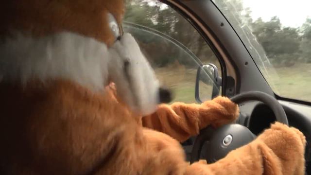 FOX VS HUNTER (RÉMI GAILLARD) 🦊 смотреть онлайн