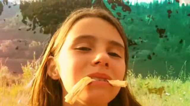 Любимый кемпинг! смотреть онлайн