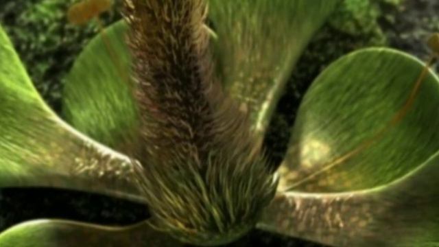 Минутка Саморазвития 《146》 смотреть онлайн