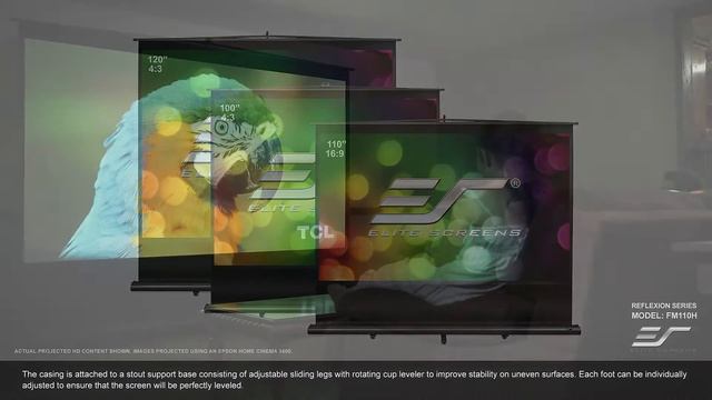 Elite Screens Reflexion Series Portable, "Pull-Up" Projection Screen