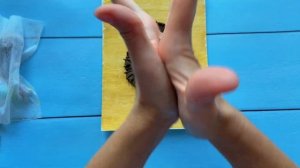 Осенняя поделка. Лепим ежика из воздушного пластилина.