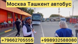 #москва #ташкент #автобус #2023 #