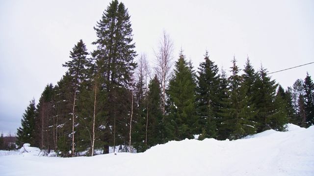 Testing Panasonic GX80 Part 2. : Lapland смотреть онлайн