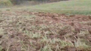 вспашка целины самодельным минитрактором