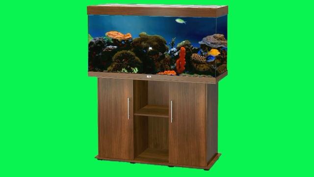 ФУТАЖ АКВАРИУМ смотреть онлайн