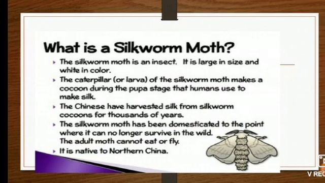 Life cycle of Bombyx mori B Sc 2ndyear,zoology смотреть онлайн