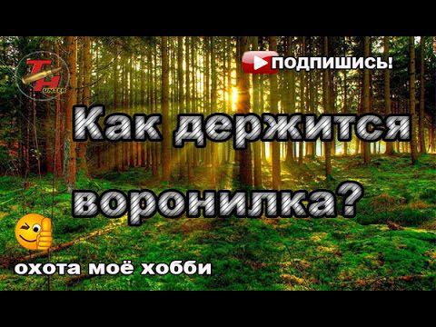 Итоги по воронению топора. Выводы делайте сами. смотреть онлайн