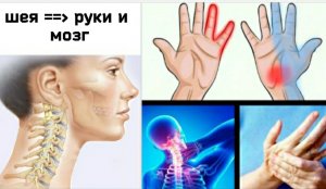 Помогая шее, помогаем рукам и улучшаем кровоснабжение мозга. Упражнения при онемении и слабости рук