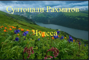 BlogGIF_665c67645a1b8-Султонали Рахматов. "Чудеса"