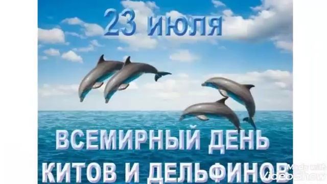 23 июля всемирный день защиты китов и дельфинов.