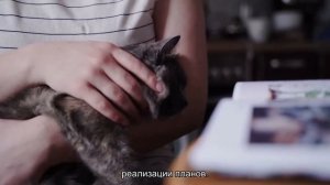 К чему снится родить котенка? Толкование сна и его значение по сонникам Хассе и Ванги
