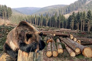 НЕ ГУБИТЕ, МУЖИКИ! песня, как крик души, группы «Любэ» из альбома «Атас». Кавер. Записано в #smule