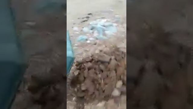 Тележка своими руками. Самосвал смотреть онлайн