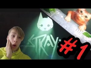 ПРОДОЛЖЕНИЕ ИГРЫ СТРЭЙ STRAY ИГРЫ ПРО КОТА! #1 НА ПЛЕЙСТЕЙШОН 4 PLAYSTATION 4!!! БЕДНЫЙ КОТ? 2023