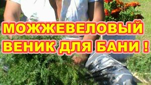 МОЖЖЕВЕЛОВЫЙ ВЕНИК ДЛЯ БАНИ !!! как связать хранить парится !