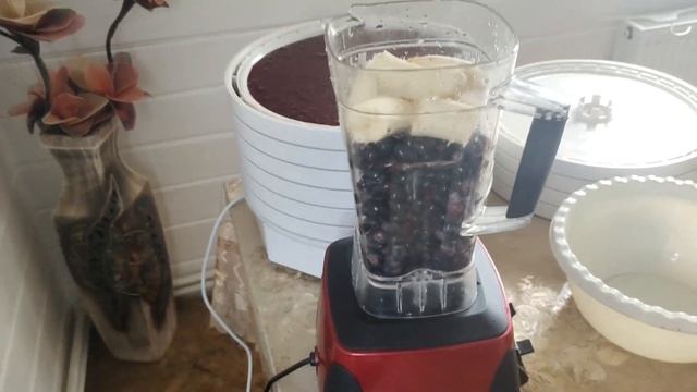 #10 Три вида пастилы, пастила из смородины, винограда, и из голубики,в сушилке изидри смотреть онлайн