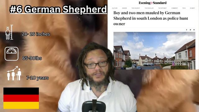 More dog bans🐕⁉️#doglover #top10 #xlbullies смотреть онлайн