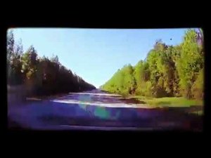 КамАЗ сбил лося на трассе Кудымкар - Гайны