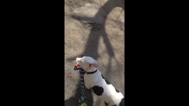 Стаф 3 месяца:) смотреть онлайн