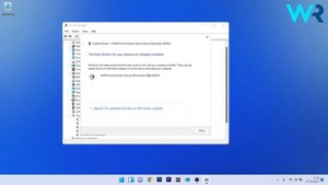 Dolby Atmos not working in Windows 11? Fix it now!