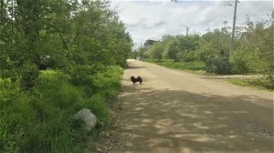 Продается дом в Краснодарском крае/Ильский сегодня