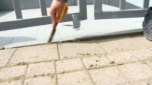 Более 21 000 человек приняли участие во Всероссийском субботнике в Сочи