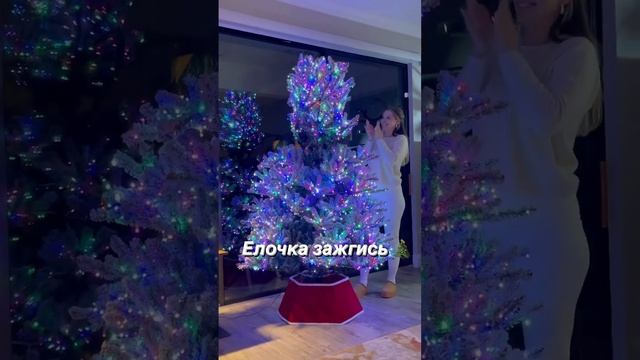 У нас в доме уже праздник - установили Рождественскую Ёлочку ? #christmas #christmastree #елка #сша