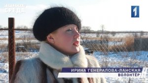 Животные в городе