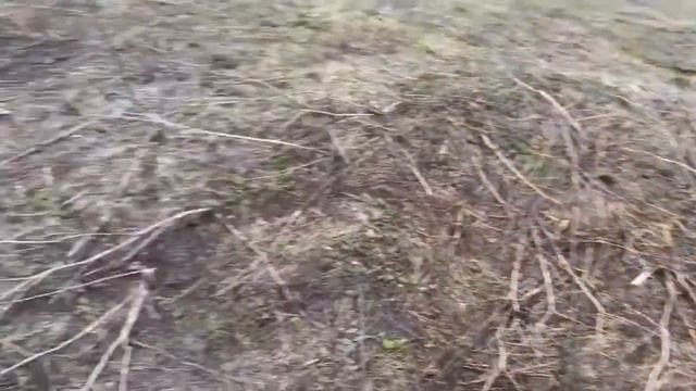 Мой первый царь смотреть онлайн