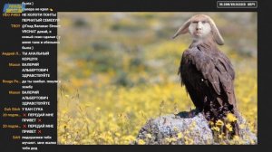 ВАЛАКАС БОМБИТ ОТ ФОТОЛУПОВ И СМОТРИТ ВИДЕОЛУП ПРО ФОТОЛУП