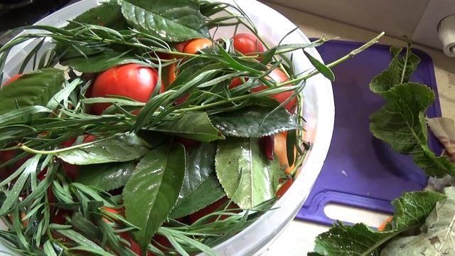 коля на роботу я на кухню, вкуснейшие помидорки, делаю морс на зиму, Шаповаловы влог, 1 10