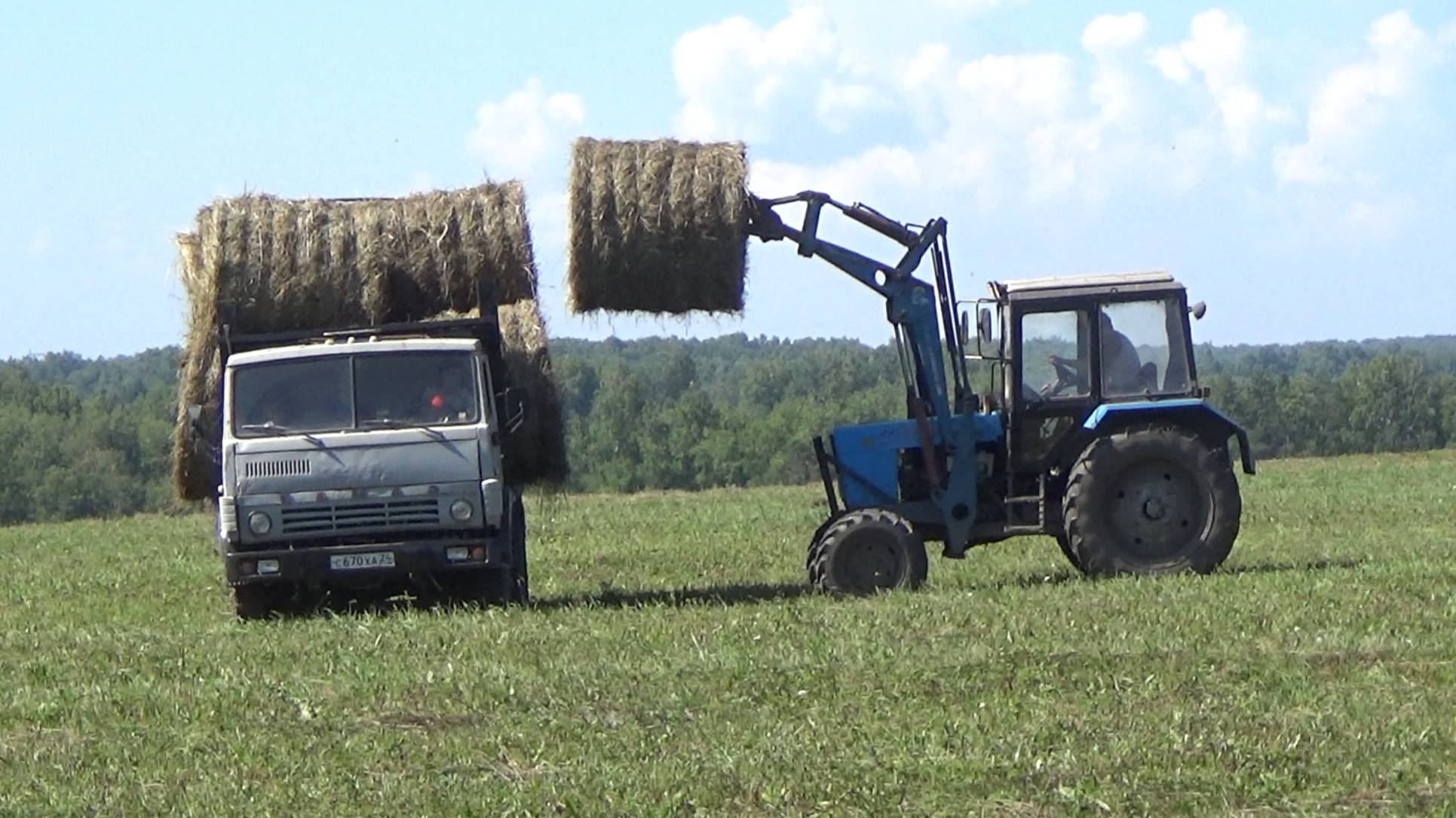 Уборка и вывозка сена. Сломал прицеп, оставил в поле, проблемы с тормозами. смотреть онлайн
