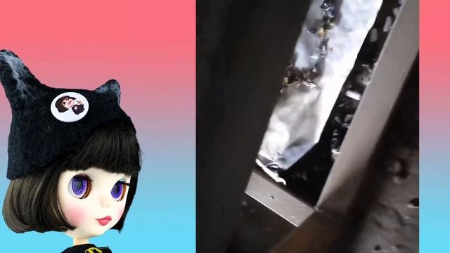 Что ЭТО ? Попробуй не сказать "ВАУ" челлендж - Реакция на Самое приятное видео в мире смотреть онлайн