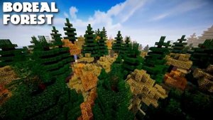 РЕАЛИСТИЧНАЯ ГРАФИКА В МАЙНКРАФТ ТОП 5 МОДОВ НА РАСТЕНИЯ В МАЙНКРАФТ