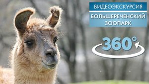 Большереченский зоопарк | 360° | Видеоэкскурсия